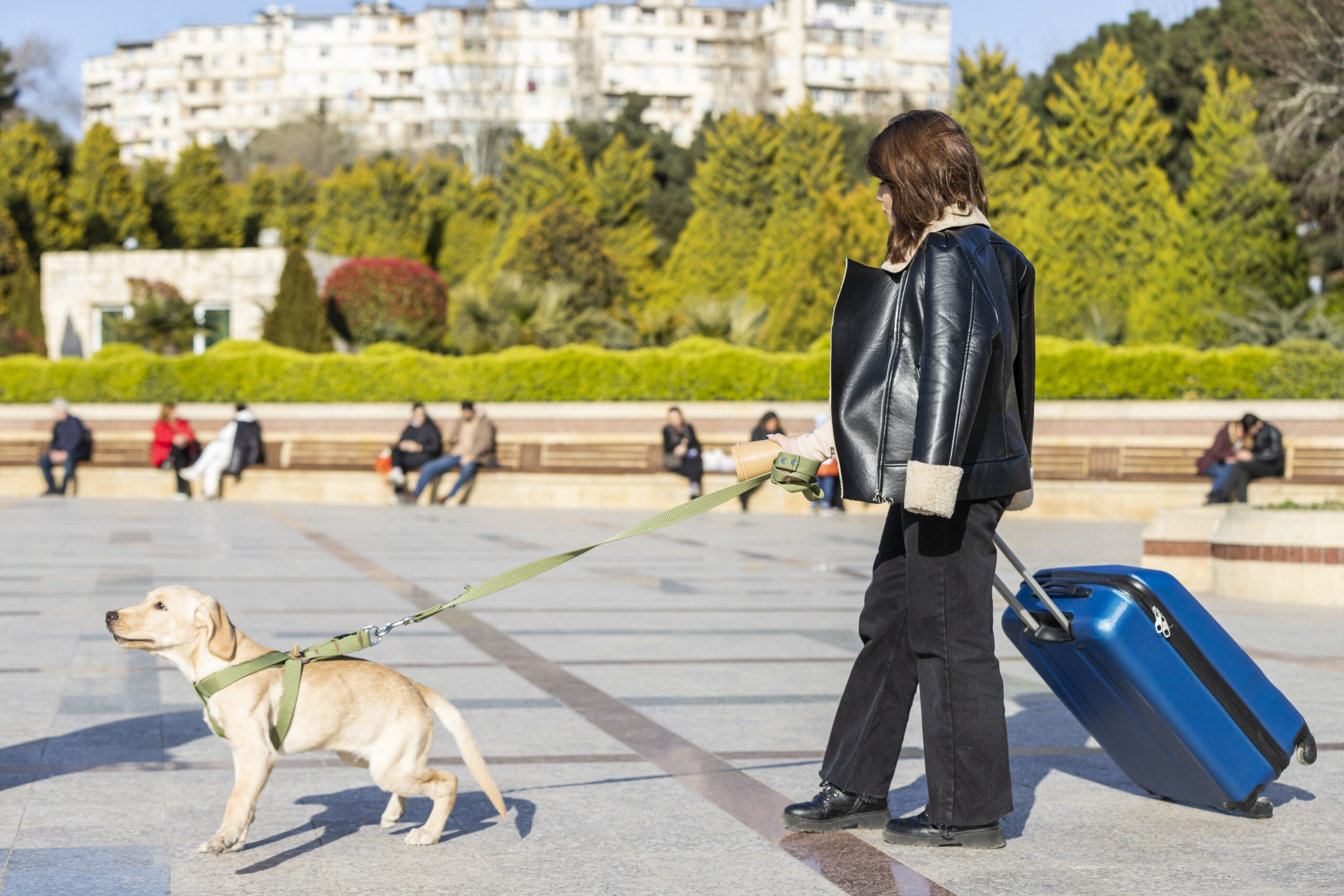 mujer paseando perro en europa
