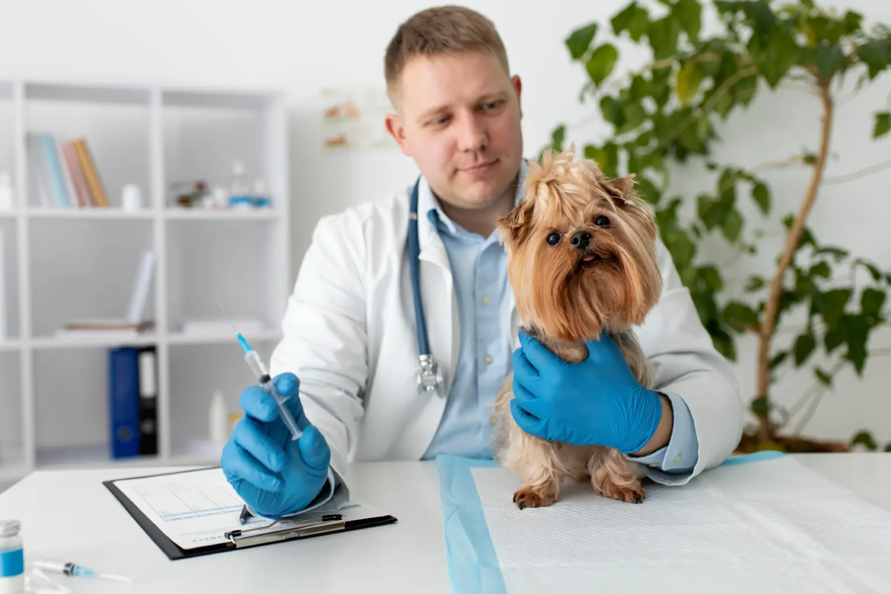 Doctor realizando examen de serología en mascotas