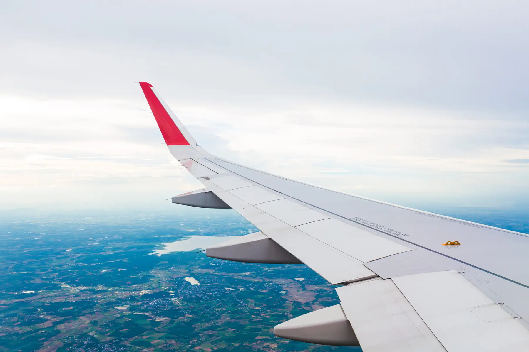 Ala de avión que viaja con mascotas en cabina