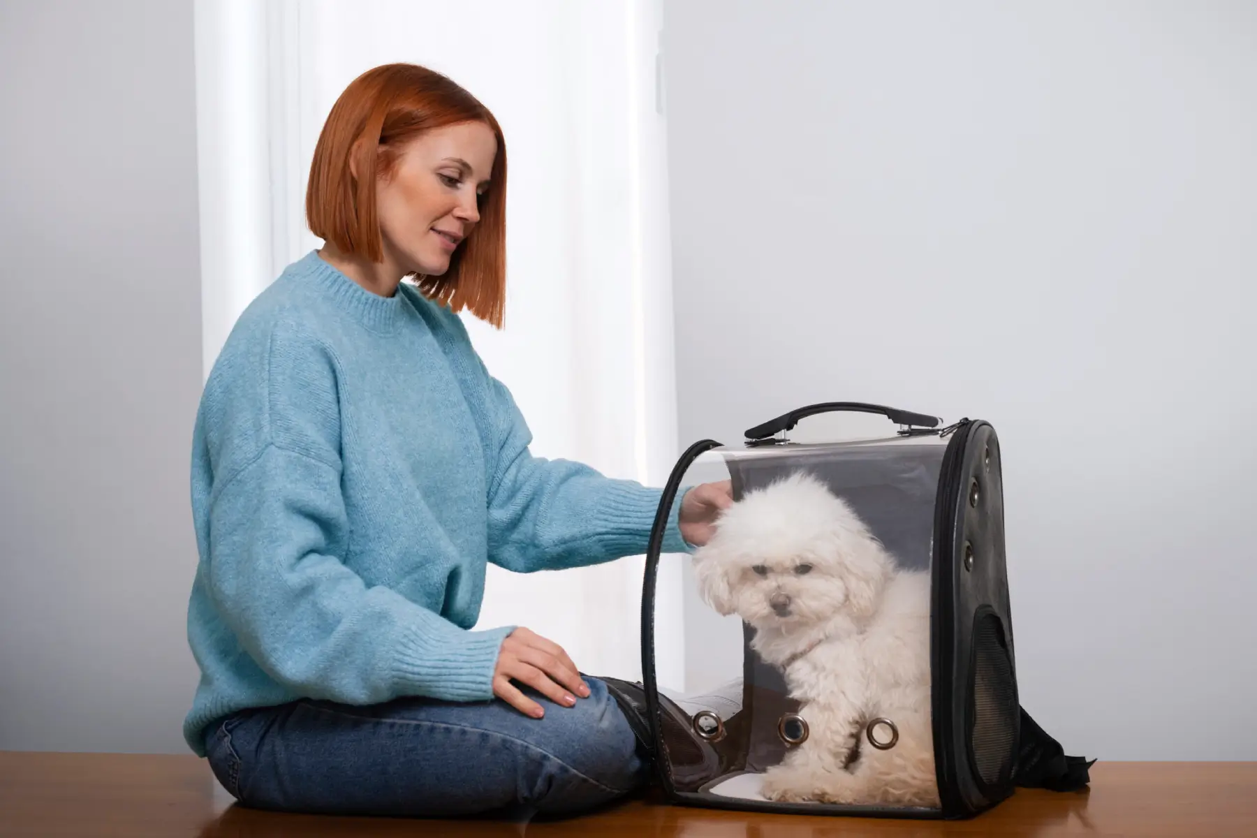 Mujer alistando mascota para viajar a españa