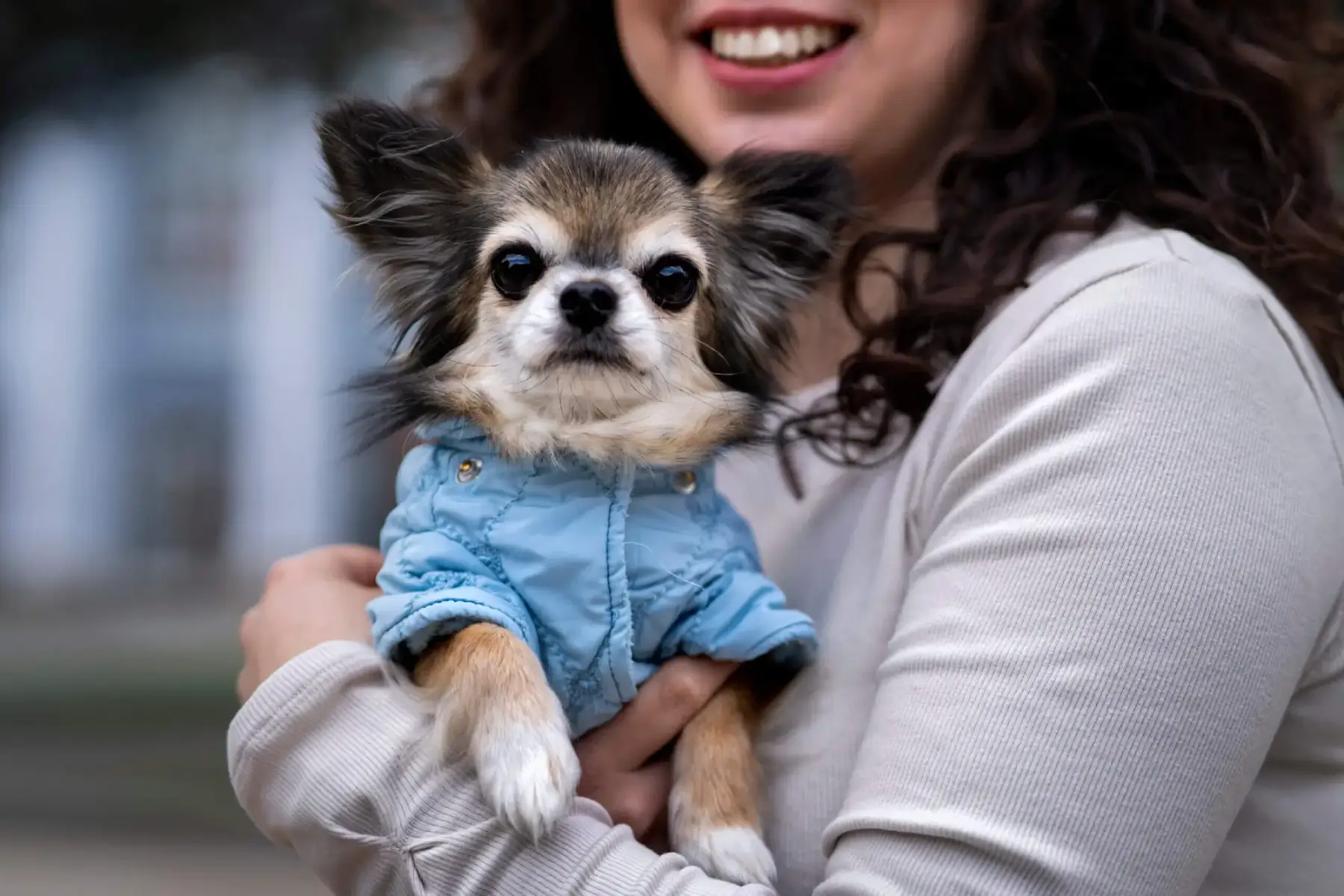 Mujer alistando mascota para viajar a argentina