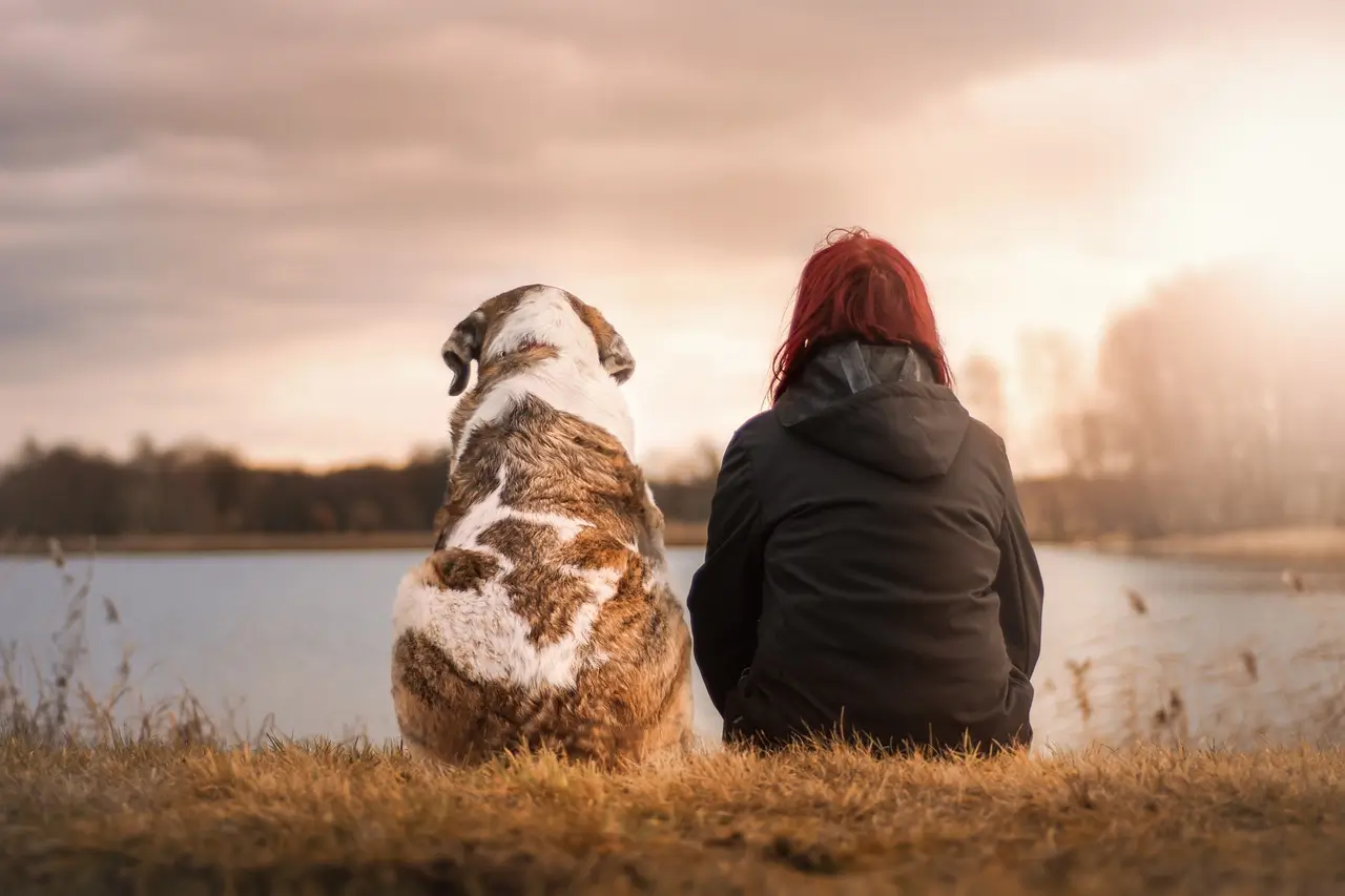 Mujer con perro planeando viaje