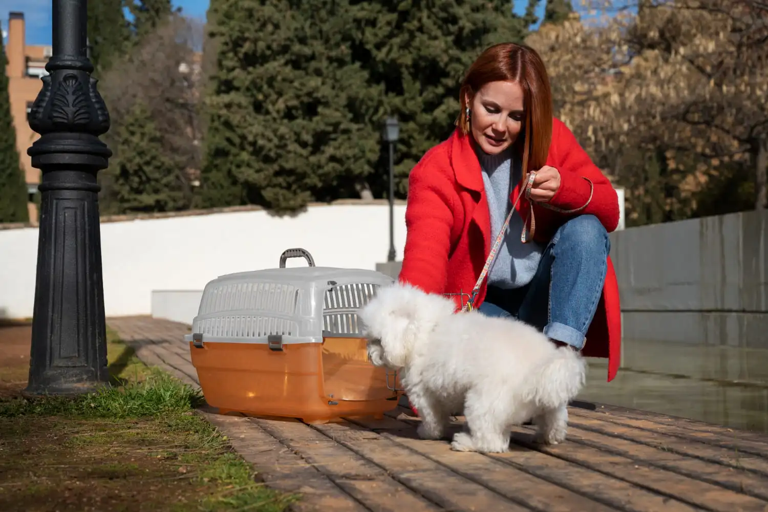 mujer alistando viaje con su mascota