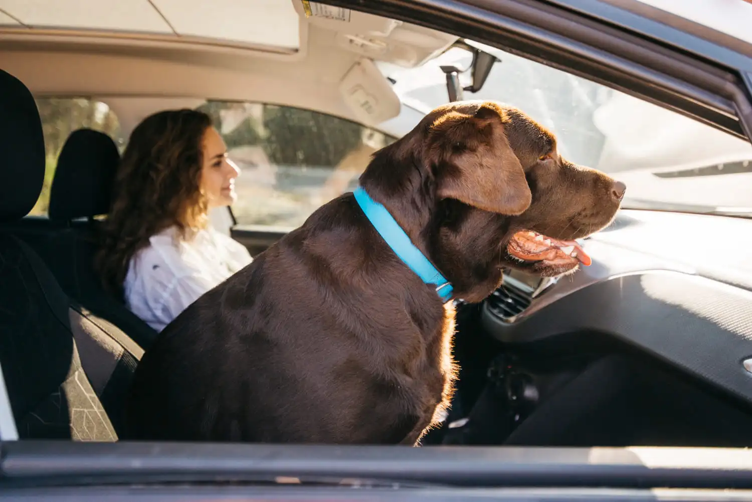 Mujer viajando con mascota